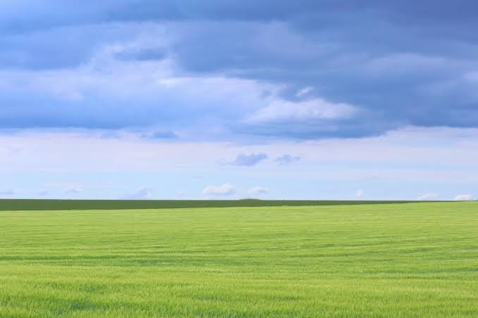 Teren Agricol Premium 150 HA – Comasat 100% – Cernoziom de Calitate Superioară