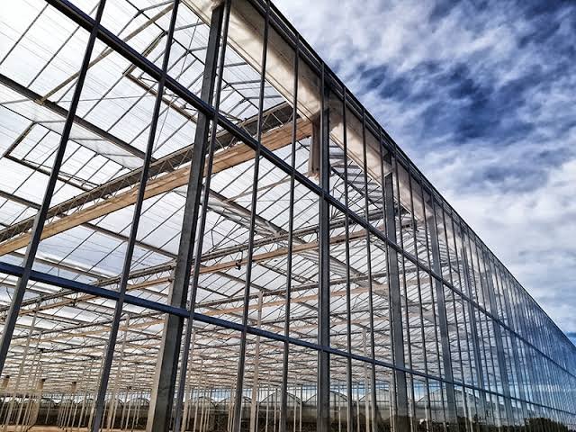 Industrial Greenhouse “Venlo” – 5000 sqm – Tempered Glass – Full Automation – 2025